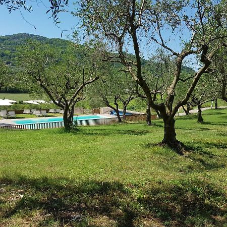 Il Vecchio Gelso - Agriturismo Rimini Montefiore Conca Villa Екстериор снимка