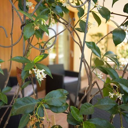 Il Vecchio Gelso - Agriturismo Rimini Montefiore Conca Villa Екстериор снимка