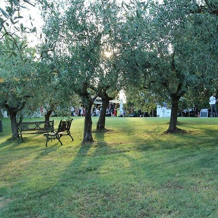 Il Vecchio Gelso - Agriturismo Rimini Montefiore Conca Villa Екстериор снимка