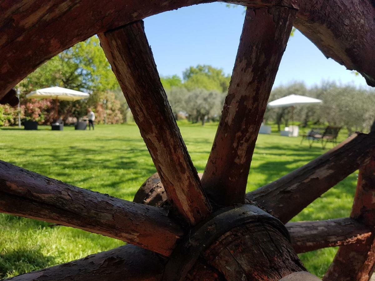 Il Vecchio Gelso - Agriturismo Rimini Montefiore Conca Villa Екстериор снимка