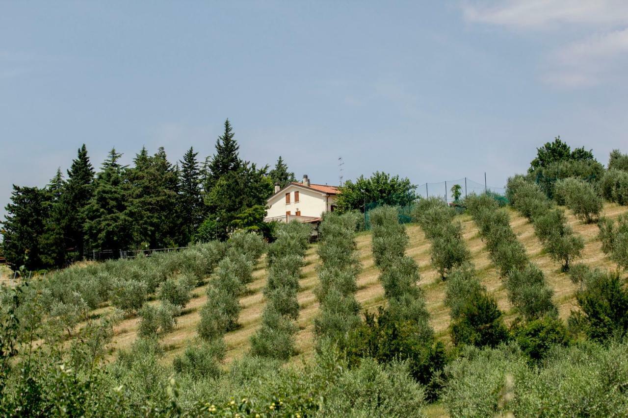 Il Vecchio Gelso - Agriturismo Rimini Montefiore Conca Villa Екстериор снимка