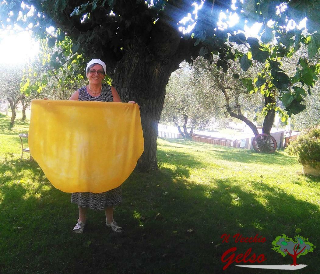 Il Vecchio Gelso - Agriturismo Rimini Montefiore Conca Villa Екстериор снимка