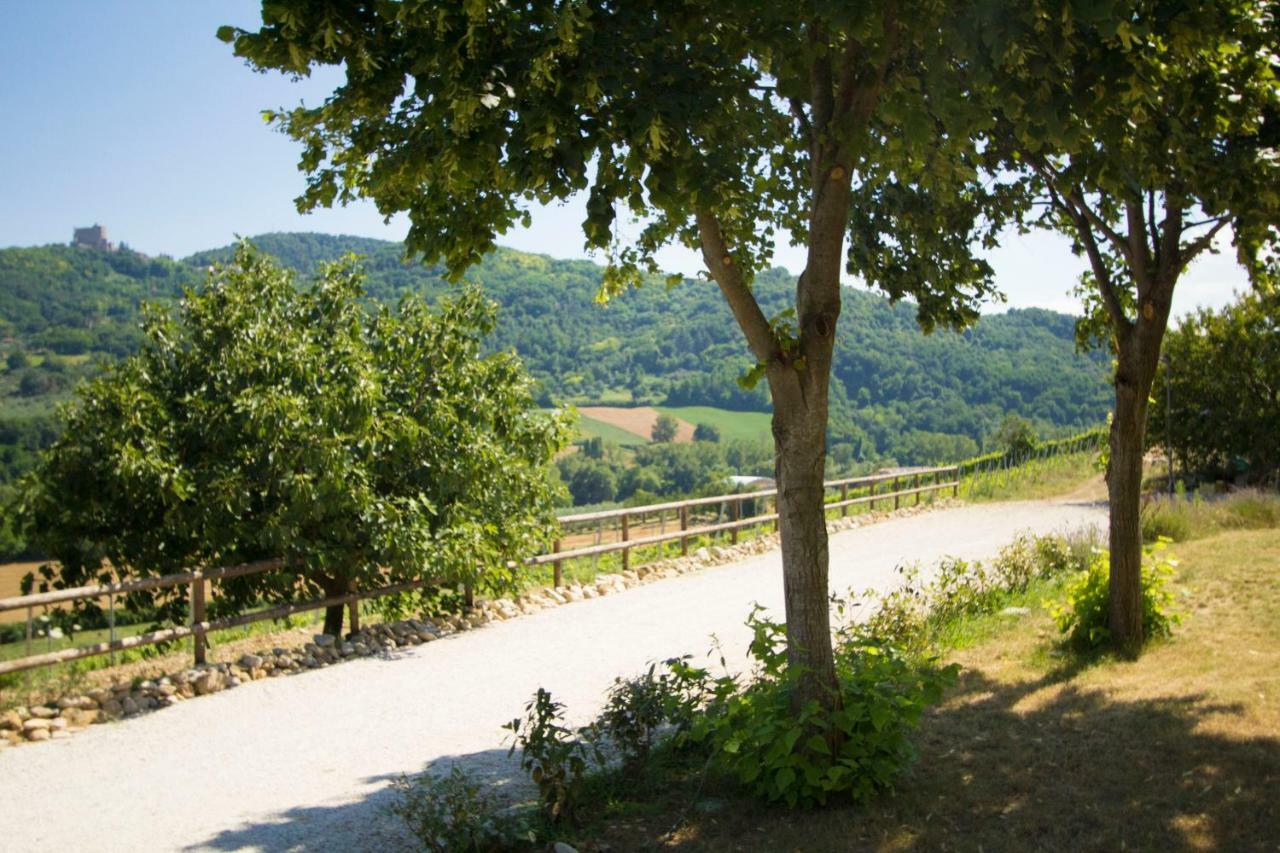 Il Vecchio Gelso - Agriturismo Rimini Montefiore Conca Villa Екстериор снимка