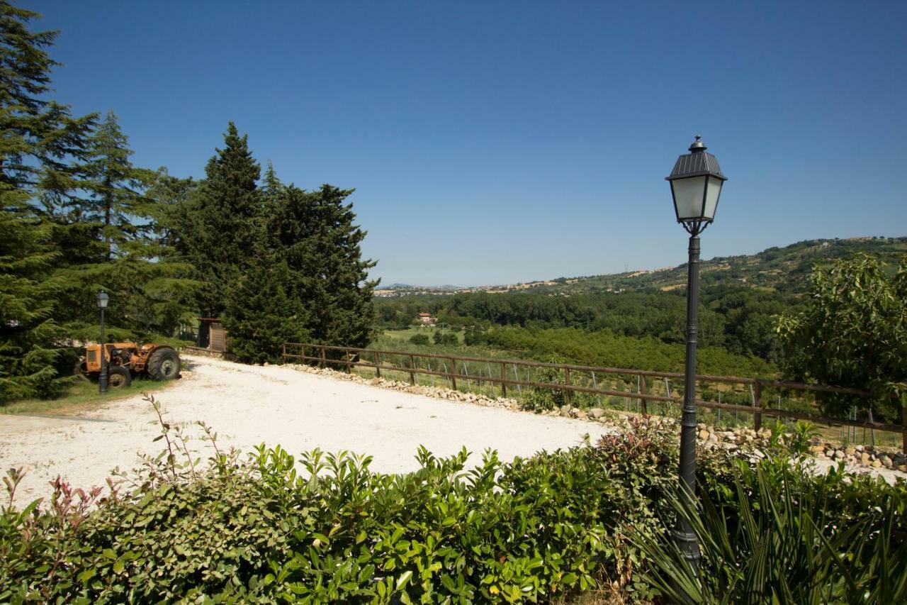 Il Vecchio Gelso - Agriturismo Rimini Montefiore Conca Villa Екстериор снимка