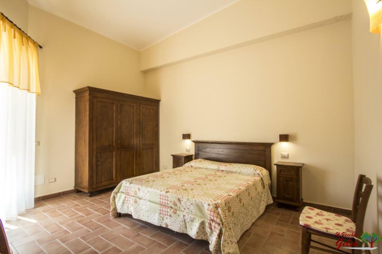Il Vecchio Gelso - Agriturismo Rimini Montefiore Conca Villa Екстериор снимка