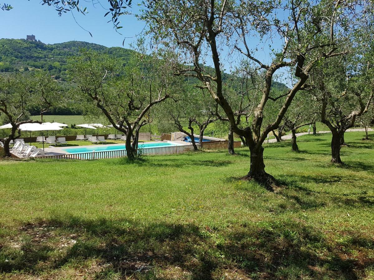 Il Vecchio Gelso - Agriturismo Rimini Montefiore Conca Villa Екстериор снимка