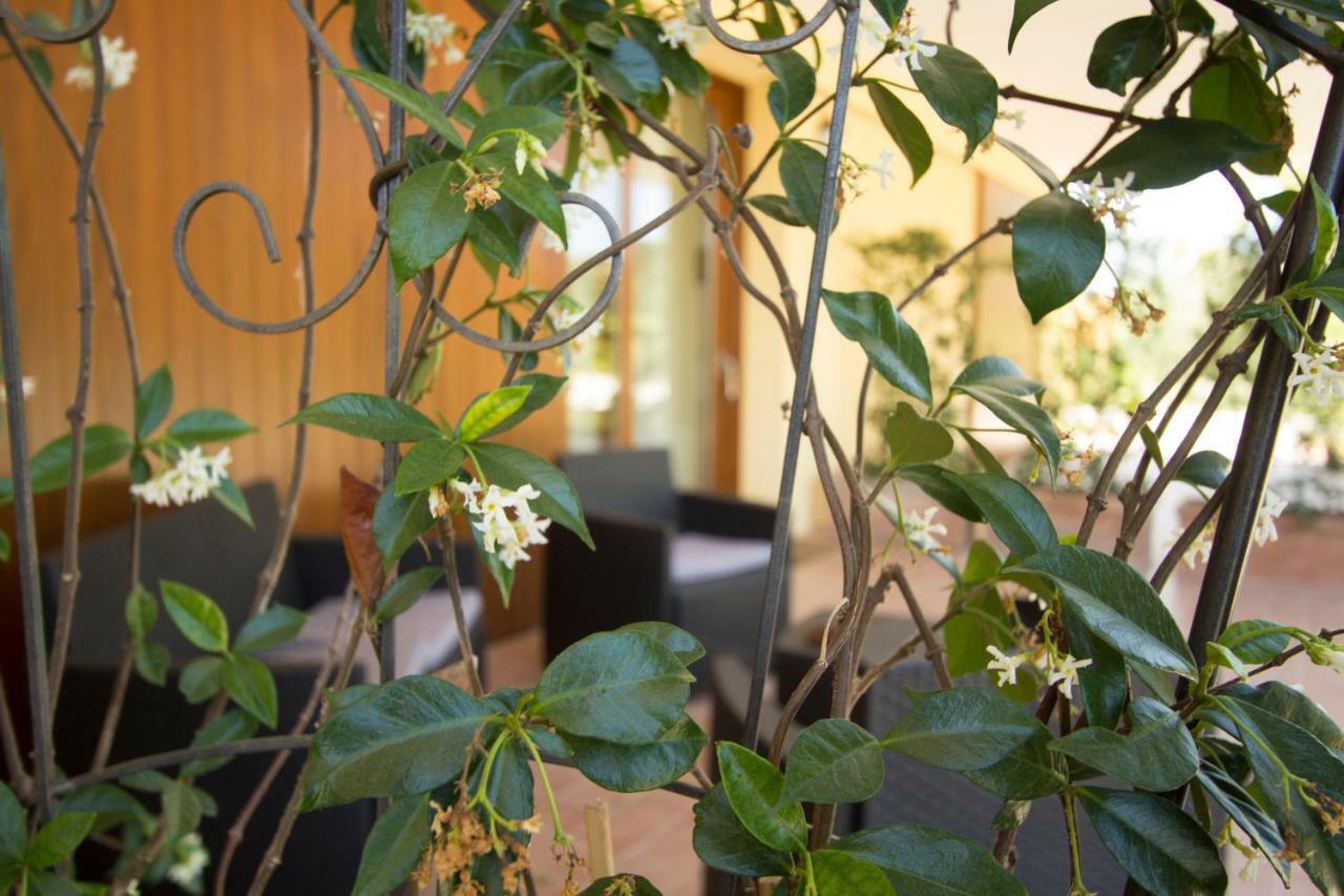 Il Vecchio Gelso - Agriturismo Rimini Montefiore Conca Villa Екстериор снимка