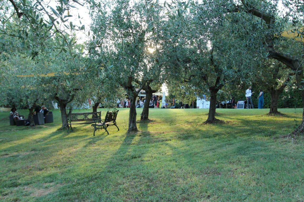 Il Vecchio Gelso - Agriturismo Rimini Montefiore Conca Villa Екстериор снимка