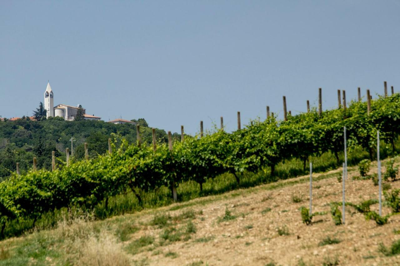 Il Vecchio Gelso - Agriturismo Rimini Montefiore Conca Villa Екстериор снимка