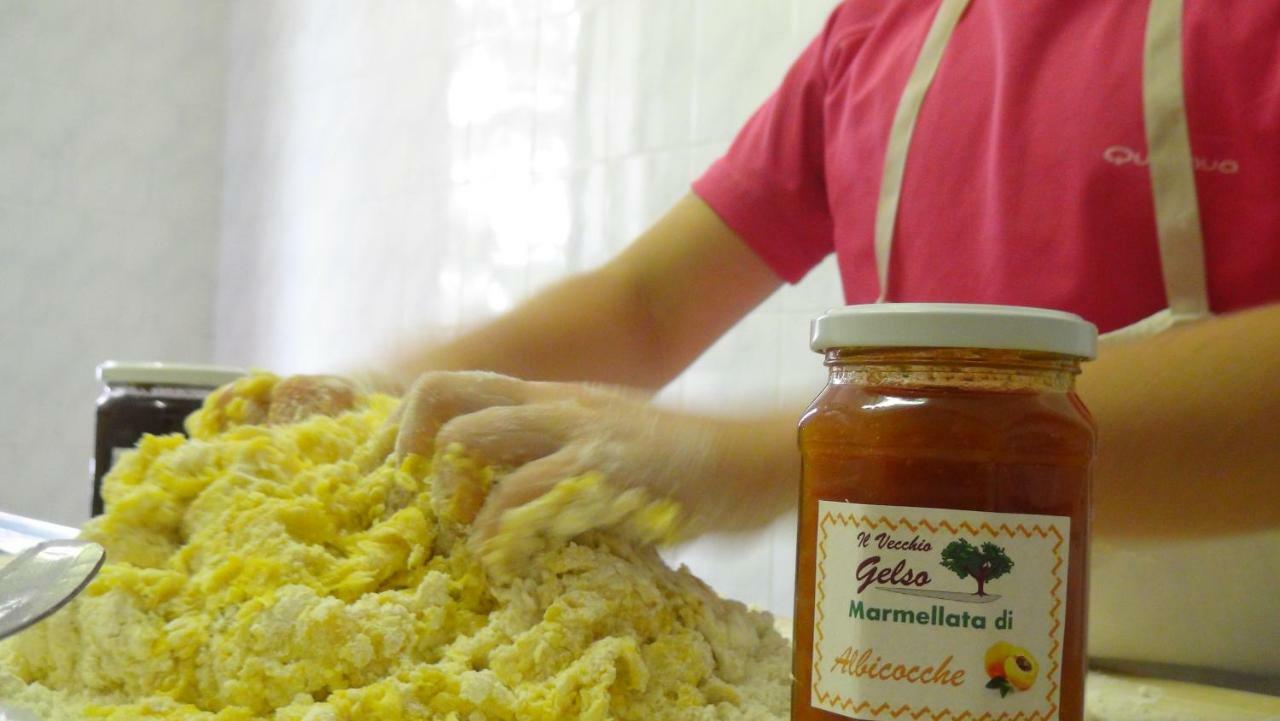 Il Vecchio Gelso - Agriturismo Rimini Montefiore Conca Villa Екстериор снимка